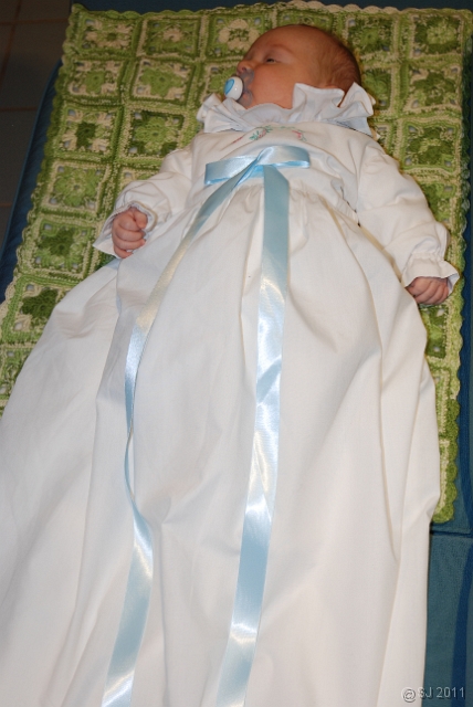 DSC_8010.JPG
