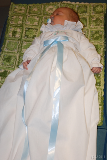 DSC_8011.JPG