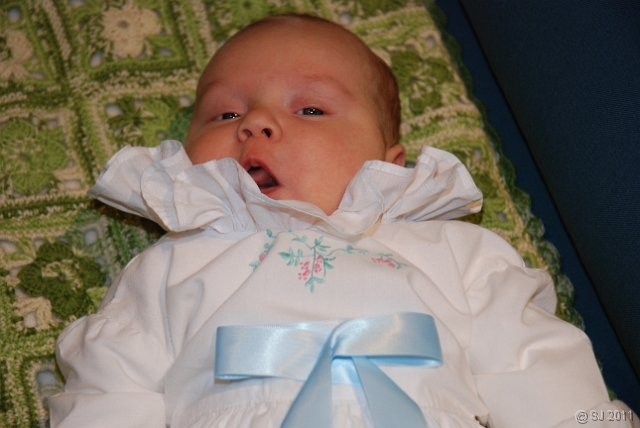 DSC_8027.JPG