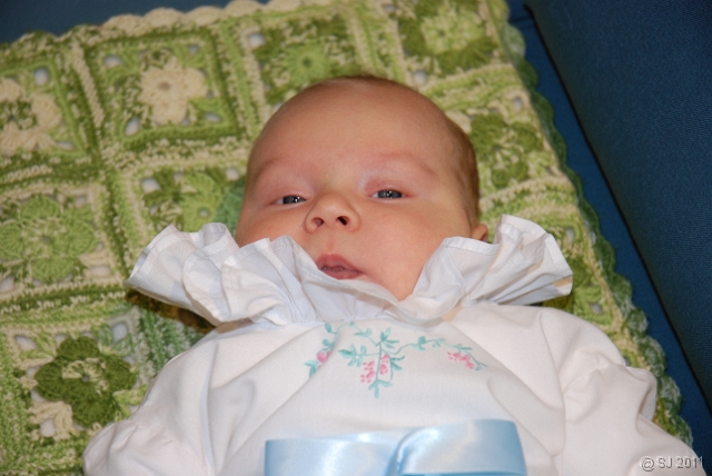 DSC_8028.JPG