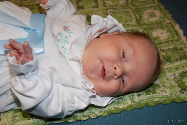 DSC_8042.JPG