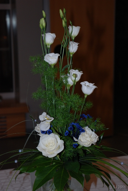 DSC_8107.JPG